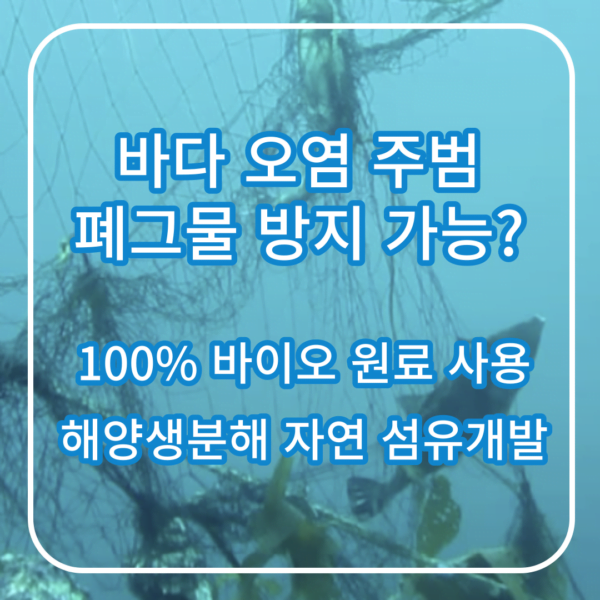 바다 오염