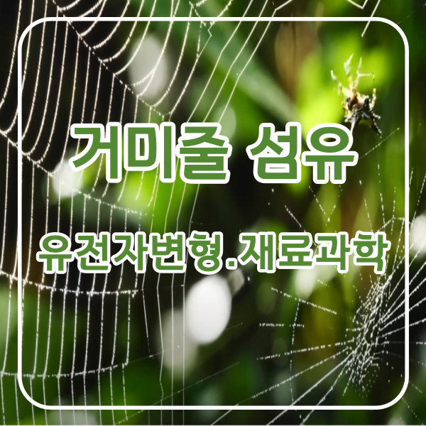 거미줄 섬유